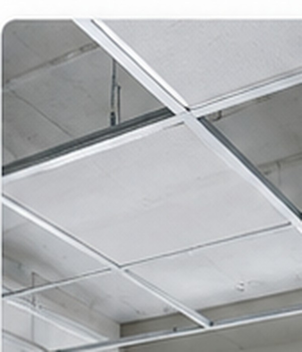 Reference photograph of ceiling system